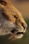 Nonton Film Life on Our Planet Season 1 Episode 7 Bioskop21 Nonton Film Life on Our Planet Season 1 Episode 7 Bioskop21