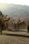 Nonton Film Life on Our Planet Season 1 Episode 5 Bioskop21 Nonton Film Life on Our Planet Season 1 Episode 5 Bioskop21