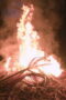 Nonton Film Outlast: The Jungle Season 1 Episode 6 Bioskop21 Nonton Film Outlast: The Jungle Season 1 Episode 6 Bioskop21